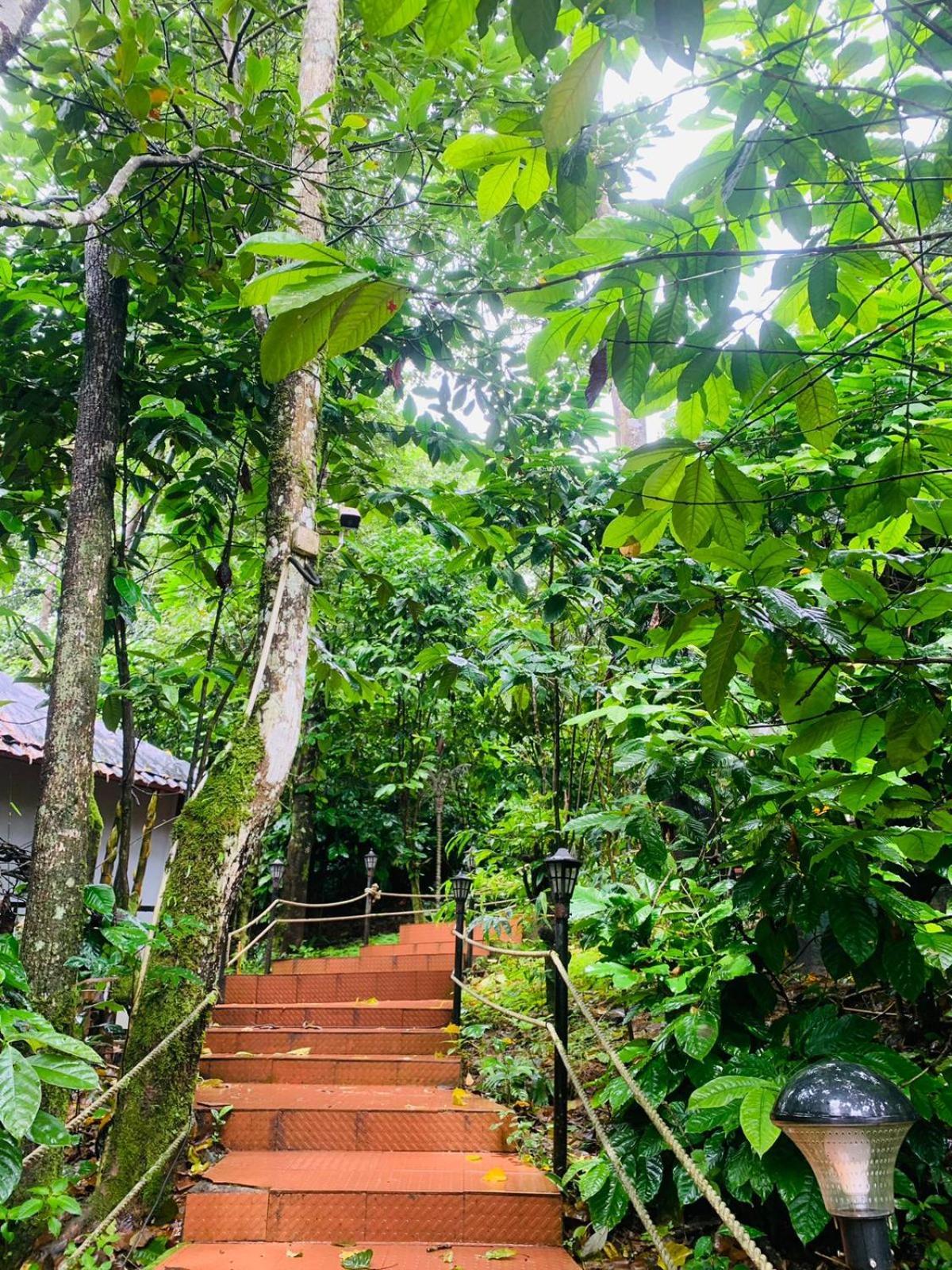 The Mountain Shades Resort Madikeri Exteriör bild