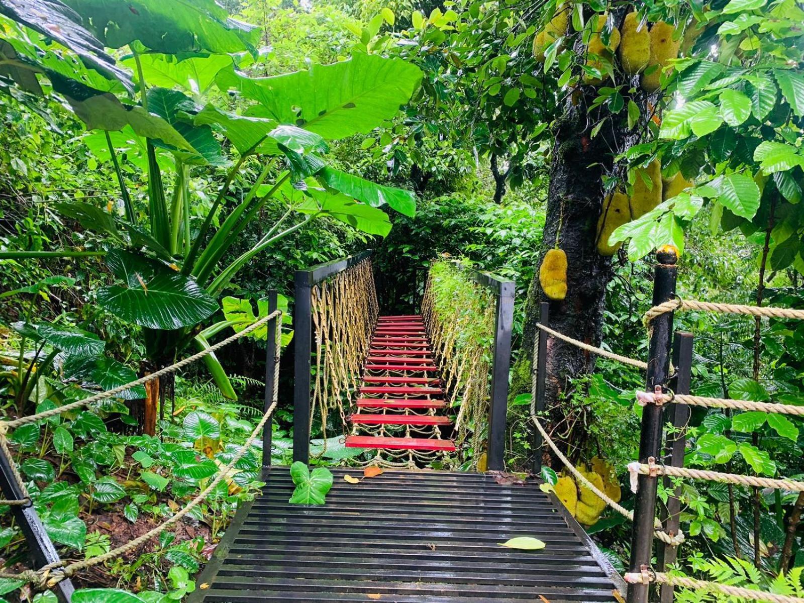 The Mountain Shades Resort Madikeri Exteriör bild