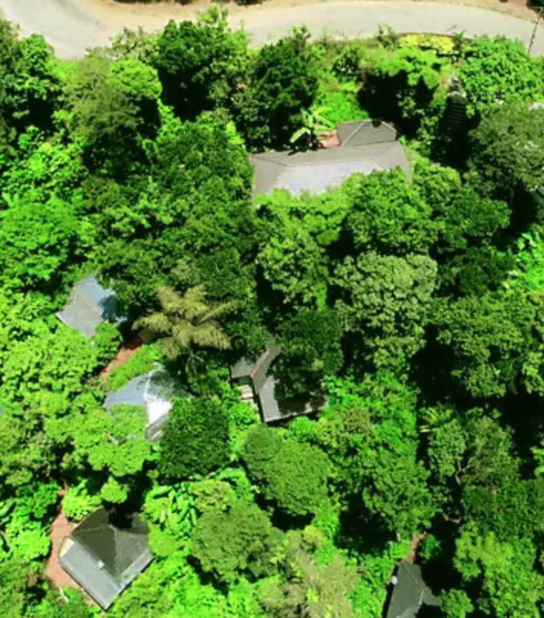 The Mountain Shades Resort Madikeri Exteriör bild