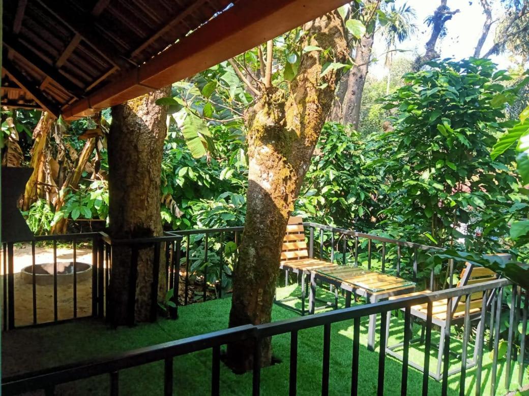 The Mountain Shades Resort Madikeri Exteriör bild